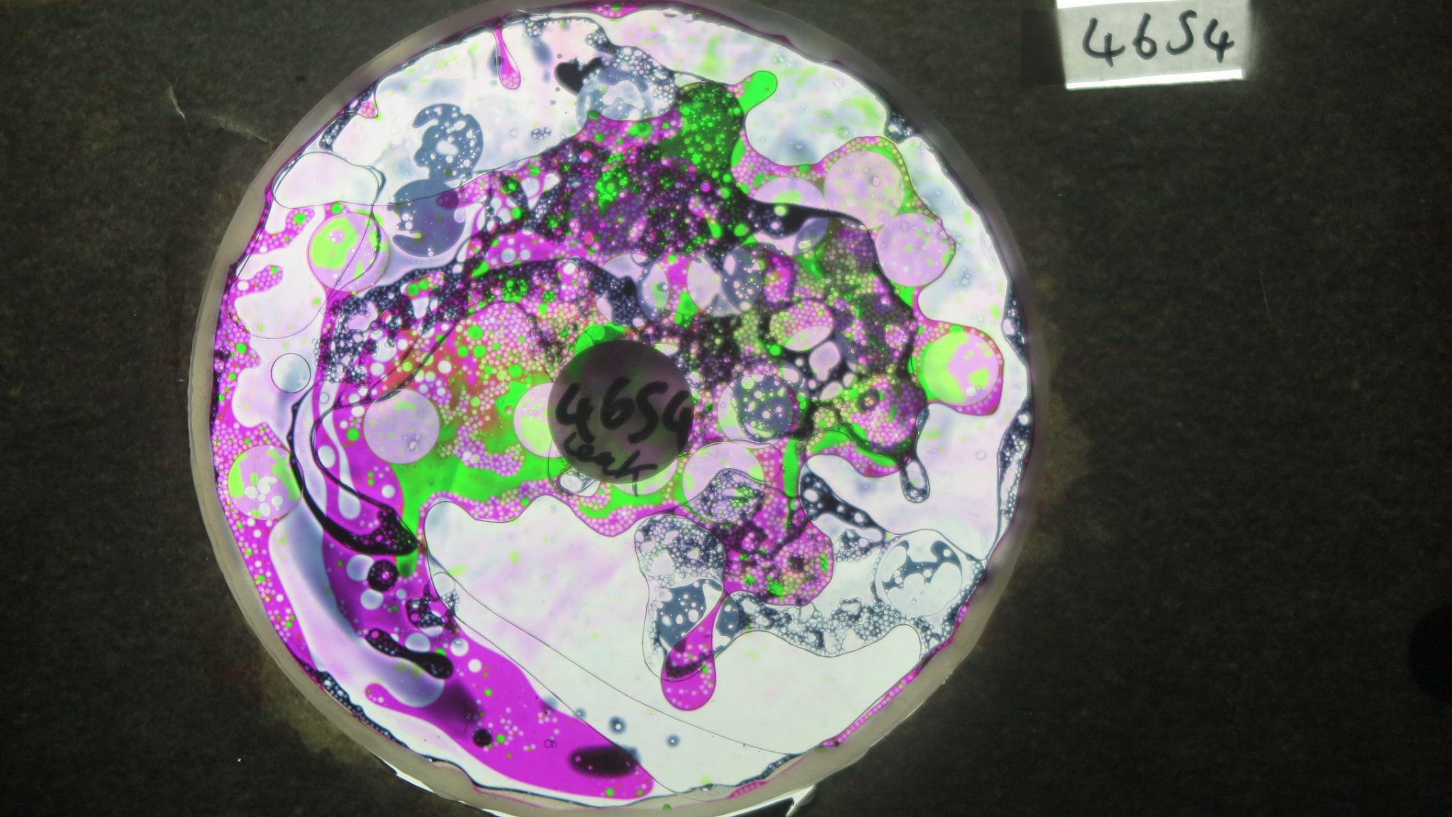 BV4654 bubble vision oil wheel